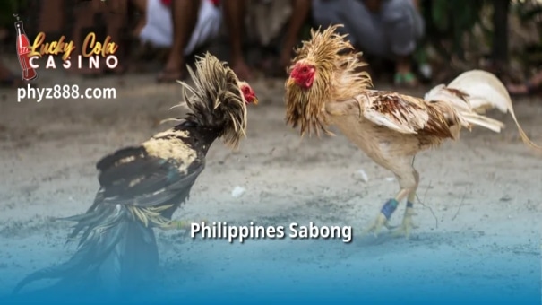 Online Sabong.Com, the ultimate platform for Sabong Betting in 2024, has revolutionized the traditional Filipino sport of cockfighting.